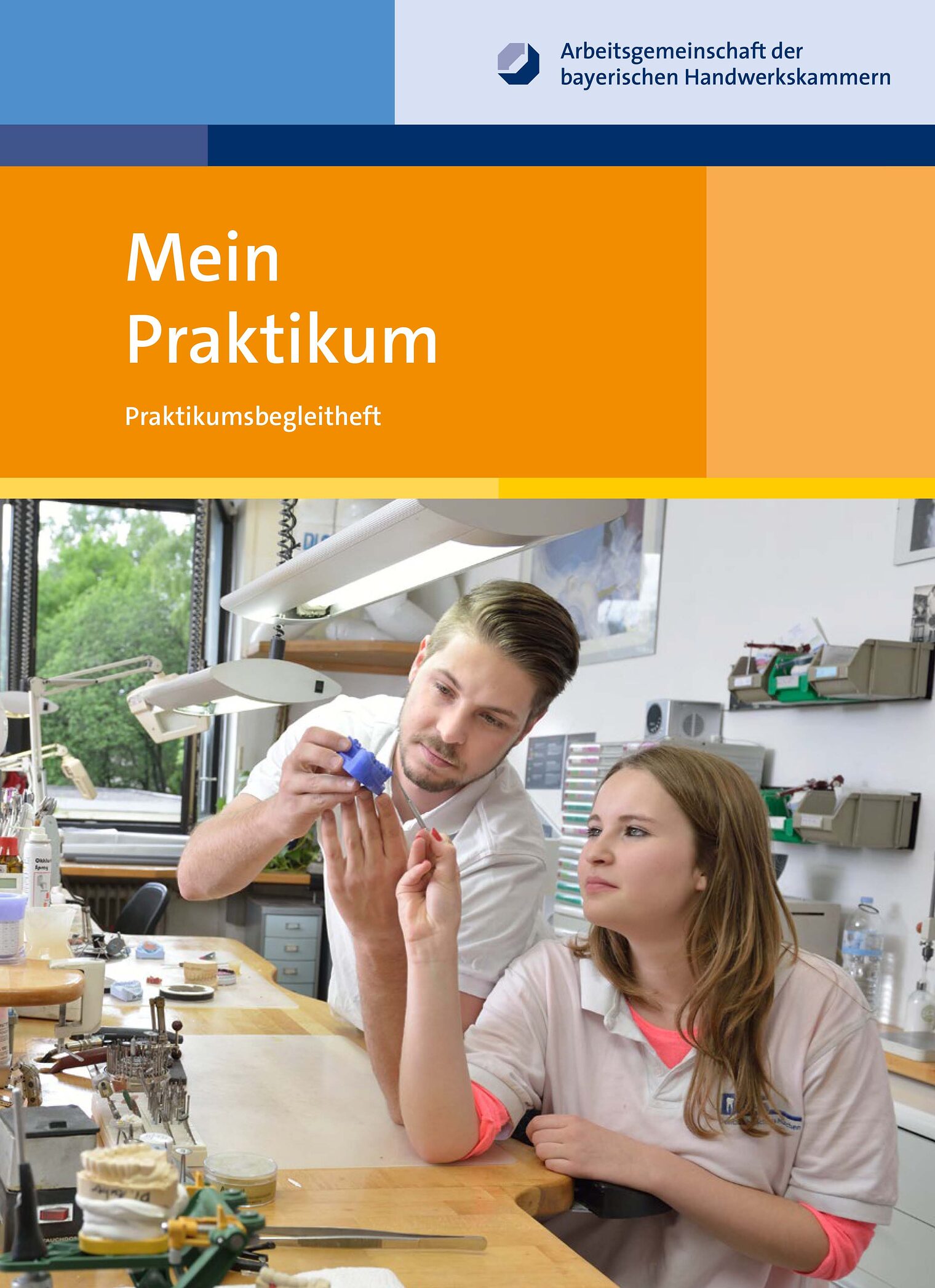 Betriebspraktikum, Praktikumsbegleitheft