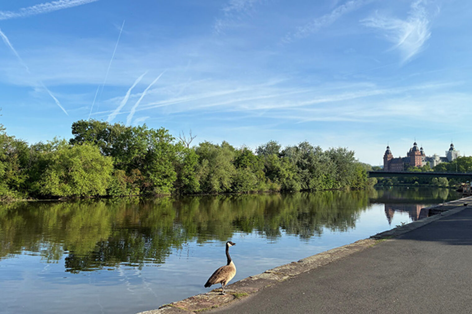 Aschaffenburg mit Main und Schloss Johannisburg – Standortvorteil für Kursteilnehmer der Handwerkskammer 
