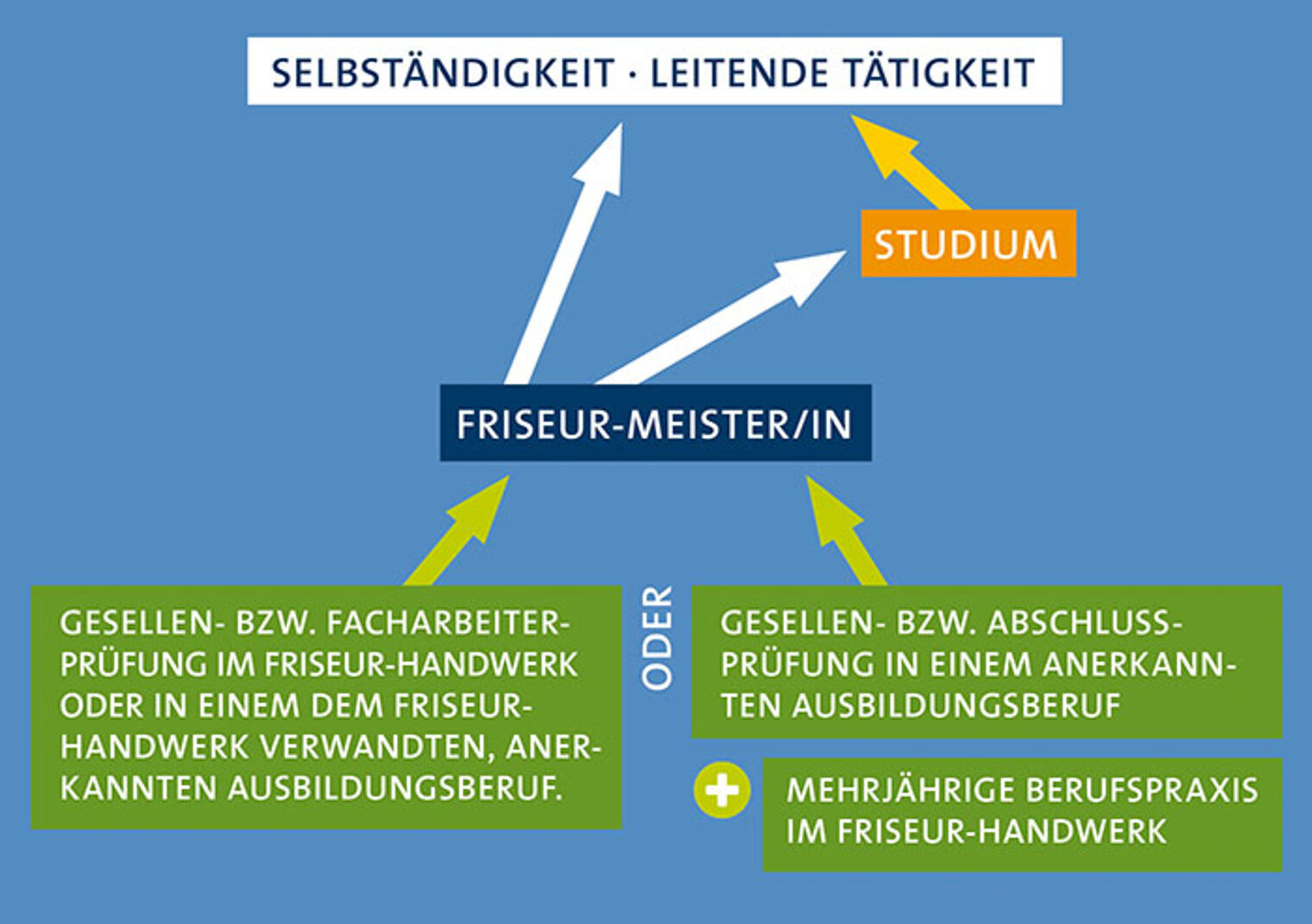 Friseur-Meister Karriereweg